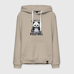 Мужская толстовка-худи Panda volleyball