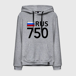 Мужская толстовка-худи RUS 750