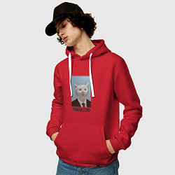 Толстовка-худи хлопковая мужская Приемлемо - кот мем в живописи, цвет: красный — фото 2