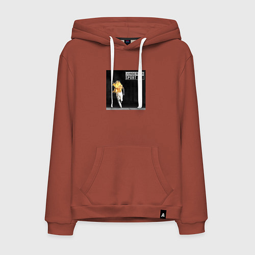 Мужская толстовка-худи Sport frei - Lindemann / Кирпичный – фото 1