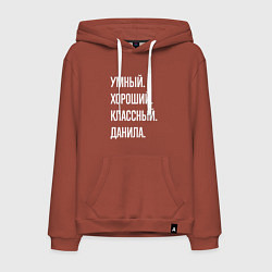 Мужская толстовка-худи Умный хороший классный Данила