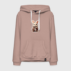 Толстовка-худи хлопковая мужская Маленький пушистый кролик, цвет: пыльно-розовый