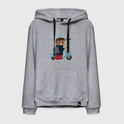 Толстовка-худи хлопковая мужская Плюшевый медвежонок и скутер, цвет: меланж