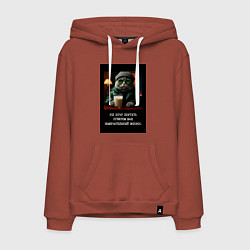 Толстовка-худи хлопковая мужская Мем кот в очках: не хочу портить ответом ваш вопро, цвет: кирпичный