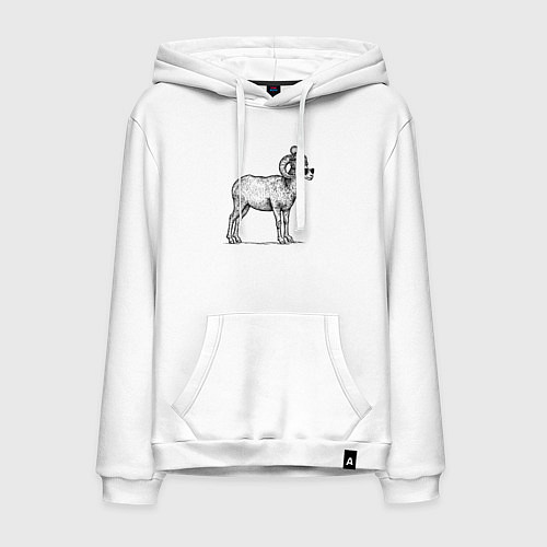 Мужская толстовка-худи Баран в шапке с помпоном / Белый – фото 1