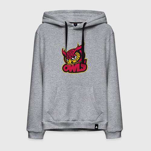Мужская толстовка-худи Team owls / Меланж – фото 1