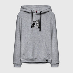 Толстовка-худи хлопковая мужская Поцелуй котиков, цвет: меланж