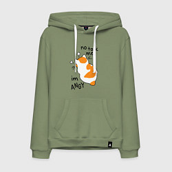 Толстовка-худи хлопковая мужская Не говори со мной - я злюсь, цвет: авокадо