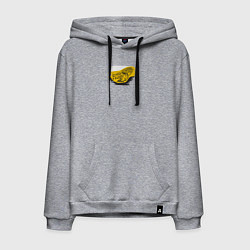 Толстовка-худи хлопковая мужская Без труда не вытащишь и рыбку - имперский флаг и н, цвет: меланж