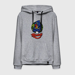 Толстовка-худи хлопковая мужская Mandrill, цвет: меланж