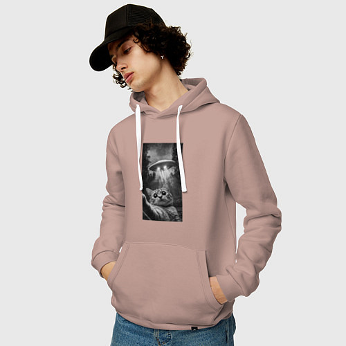 Мужская толстовка-худи Котейка и НЛО / Пыльно-розовый – фото 3