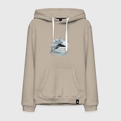 Мужская толстовка-худи Сухой ПО 57