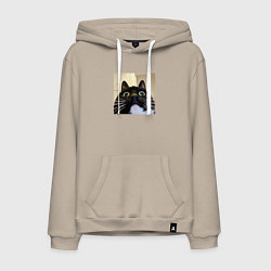 Толстовка-худи хлопковая мужская Видеосвязь с котом мем звонит, цвет: миндальный