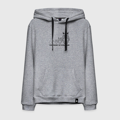 Мужская толстовка-худи Теория эволюции Тоторо / Меланж – фото 1