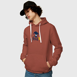 Толстовка-худи хлопковая мужская Nikola 15, цвет: кирпичный — фото 2