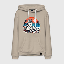 Мужская толстовка-худи Хаски отдыхает на пляже