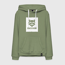 Толстовка-худи хлопковая мужская Енот белый штрих, цвет: авокадо