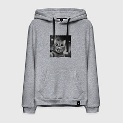 Толстовка-худи хлопковая мужская Кот селфи, цвет: меланж