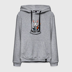 Толстовка-худи хлопковая мужская Кролик с динамитом - Trust me im an engineer, цвет: меланж