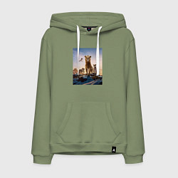 Толстовка-худи хлопковая мужская Семья львов, цвет: авокадо