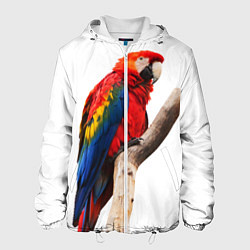 Куртка с капюшоном мужская Яркий попугай, цвет: 3D-белый