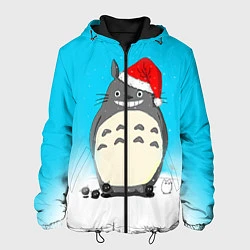 Куртка с капюшоном мужская Тоторо под снегом, цвет: 3D-черный