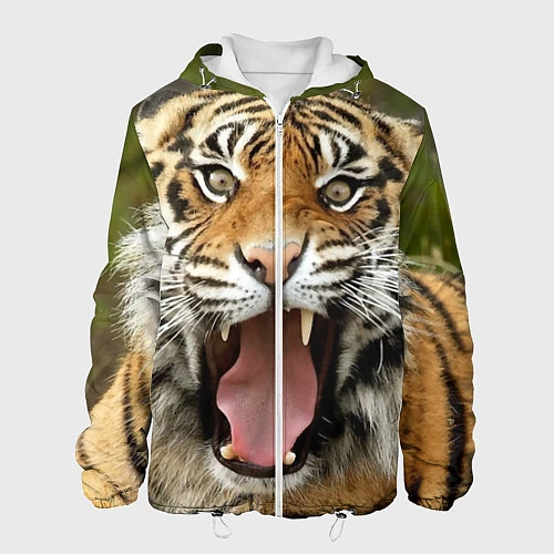 Мужская куртка Удивленный тигр / 3D-Белый – фото 1