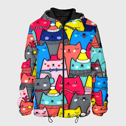 Куртка с капюшоном мужская Отряд котиков, цвет: 3D-черный