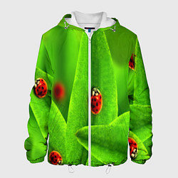 Мужская куртка Милые насекомые