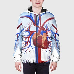 Куртка с капюшоном мужская Сердечно-сосудистая система, цвет: 3D-черный — фото 2