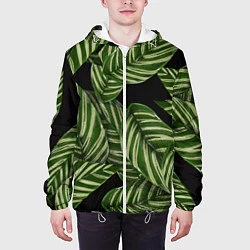 Куртка с капюшоном мужская Тропические большие листья, цвет: 3D-белый — фото 2