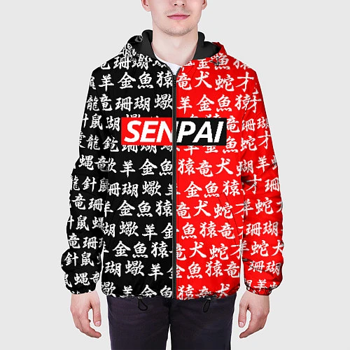 Мужская куртка SENPAI / 3D-Черный – фото 3
