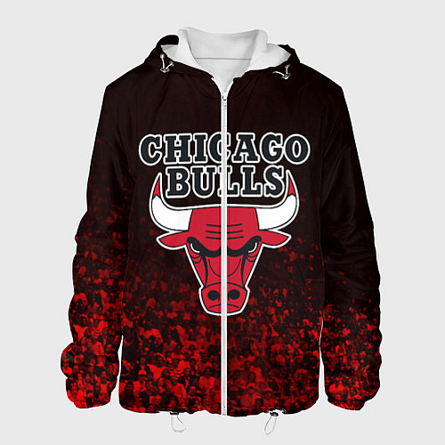 Мужская куртка CHICAGO BULLS / 3D-Белый – фото 1