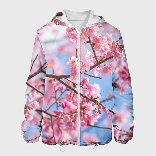 Мужская куртка Ветки Сакуры / 3D-Белый – фото 1