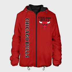 Куртка с капюшоном мужская CHICAGO BULLS, цвет: 3D-черный