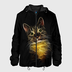 Куртка с капюшоном мужская Дымчато-световой кот, цвет: 3D-черный
