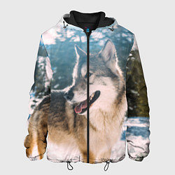 Мужская куртка Волк и снег