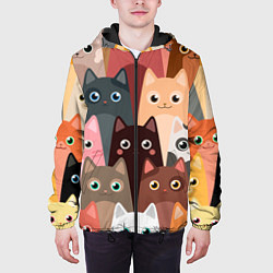 Куртка с капюшоном мужская Котики мультяшные, цвет: 3D-черный — фото 2