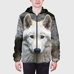 Куртка с капюшоном мужская Волк, цвет: 3D-черный — фото 2