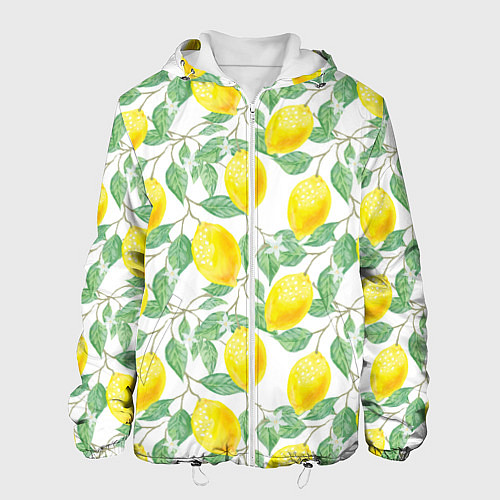 Мужская куртка Лимоны 3d / 3D-Белый – фото 1