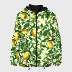 Куртка с капюшоном мужская Лимоны На Ветках, цвет: 3D-черный