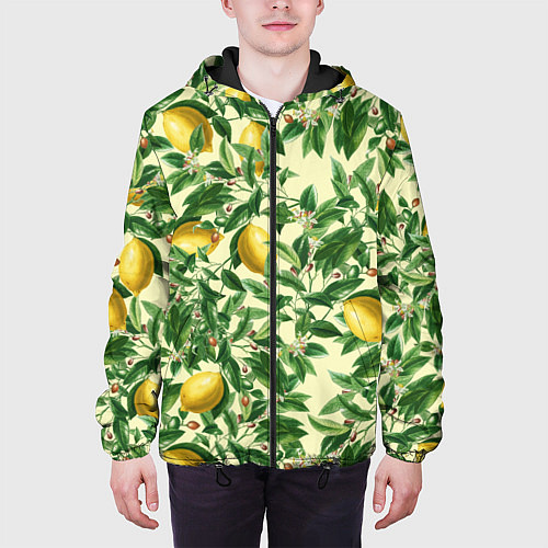 Мужская куртка Лимоны На Ветках / 3D-Черный – фото 3