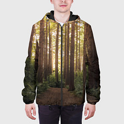 Куртка с капюшоном мужская Дневной лес, деревья и свет, цвет: 3D-черный — фото 2
