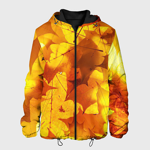 Мужская куртка Осенние золотые листья / 3D-Черный – фото 1