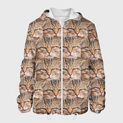 Куртка с капюшоном мужская Кот - Гипнокот, цвет: 3D-белый