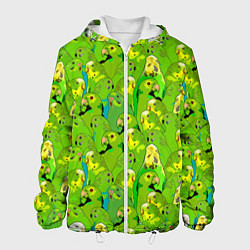 Мужская куртка Зеленые волнистые попугайчики