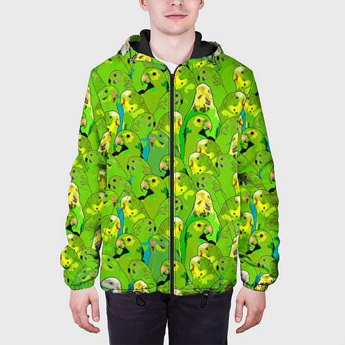 Мужская куртка Зеленые волнистые попугайчики / 3D-Черный – фото 3