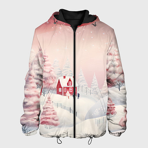 Мужская куртка Снежное сияние ночи / 3D-Черный – фото 1