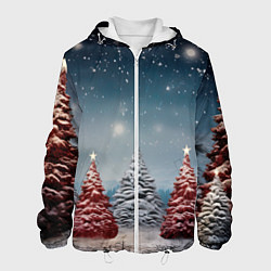 Куртка с капюшоном мужская Волшебство зимней природы иней на деревьях, цвет: 3D-белый