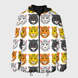 Мужская куртка Дикие цветные кошки